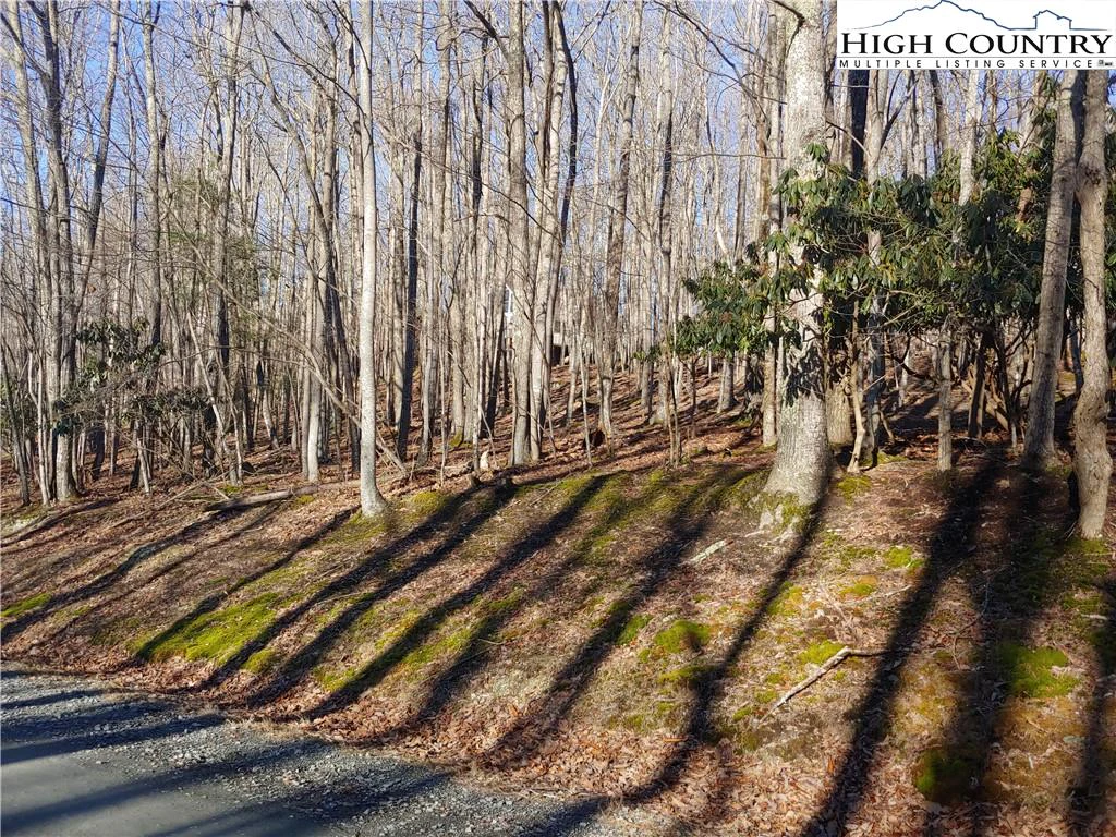 Image number 3 for the current listing
