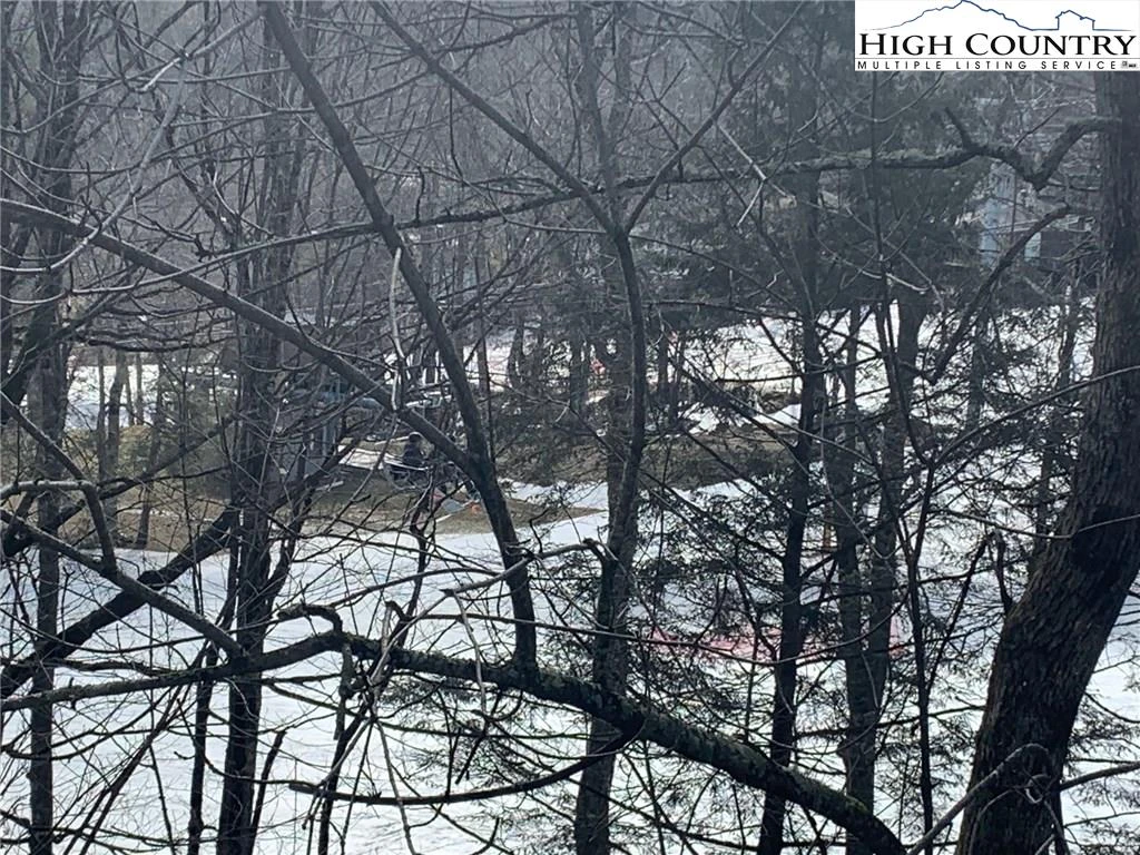 Image number 15 for the current listing