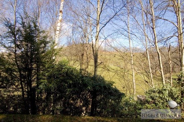 Image number 4 for the current listing