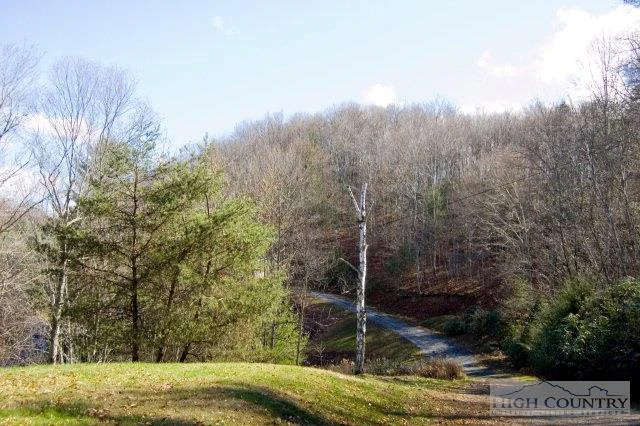 Image number 6 for the current listing