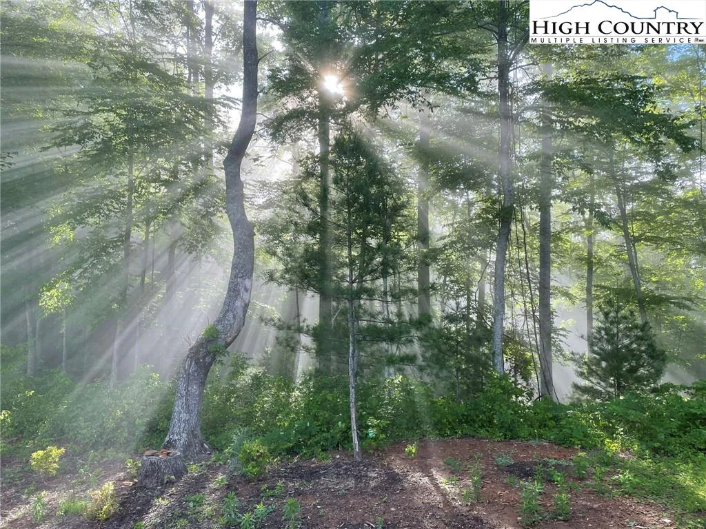Image number 18 for the current listing