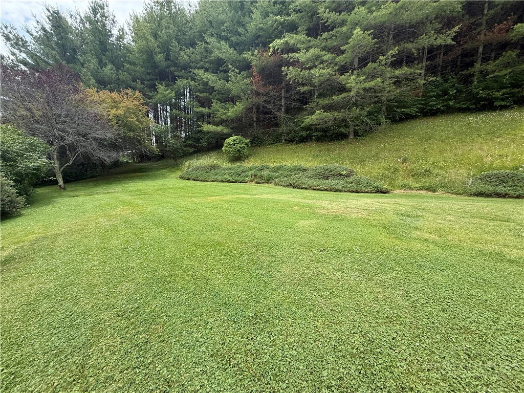 Image number 6 for the current listing