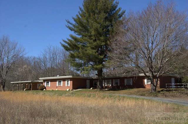 Image number 1 for the current listing