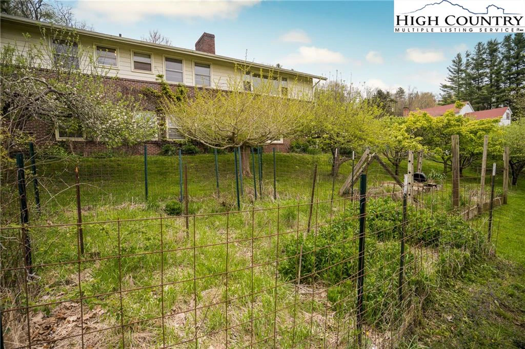 Image number 11 for the current listing