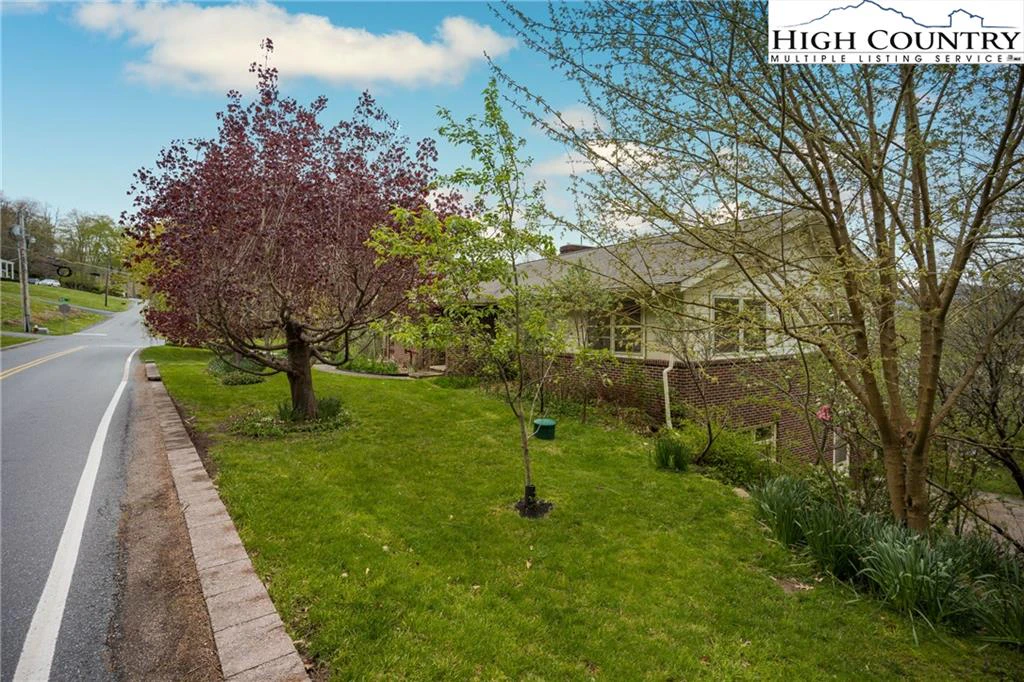 Image number 2 for the current listing