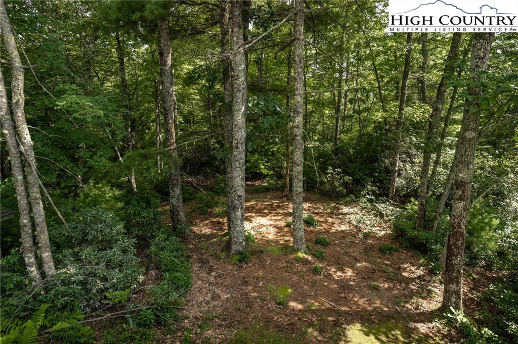Image number 7 for the current listing