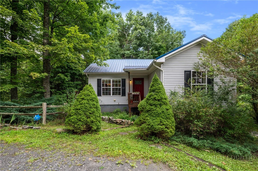 Image number 1 for the current listing
