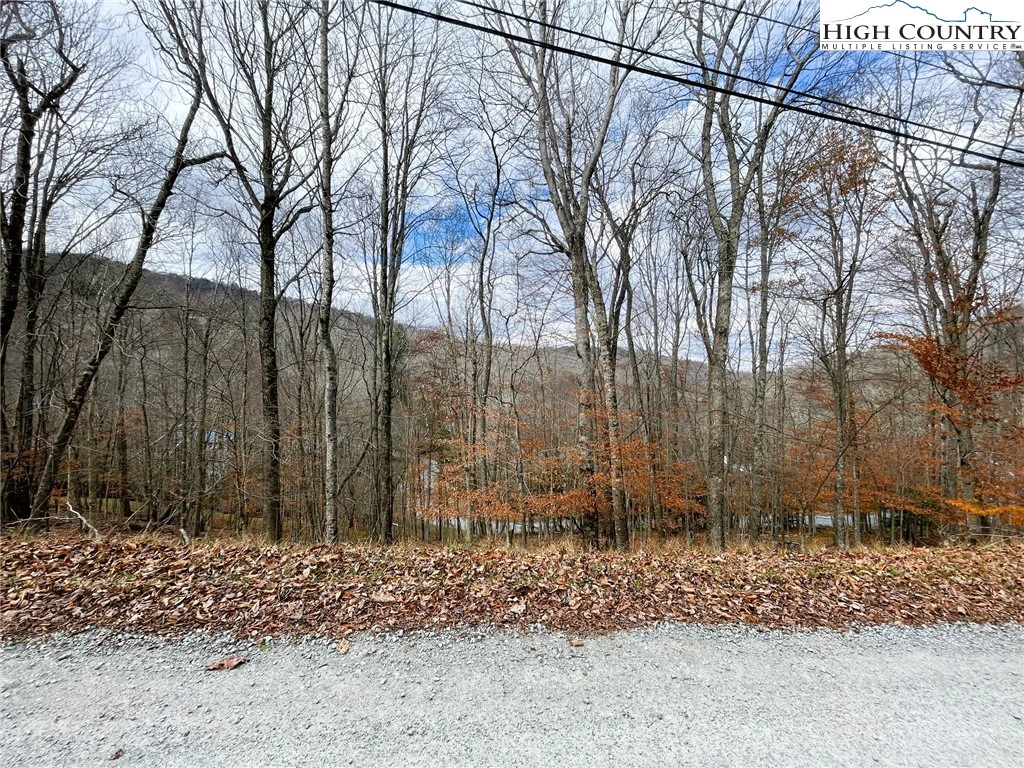 Image number 4 for the current listing