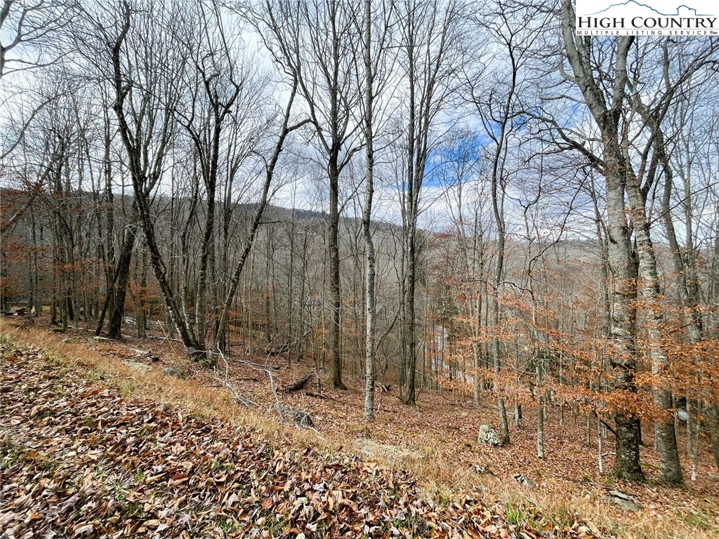 Image number 1 for the current listing