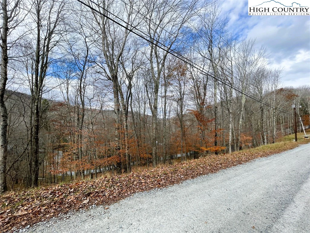 Image number 5 for the current listing