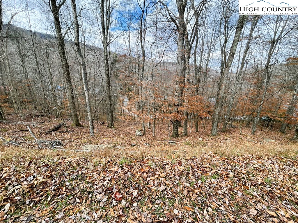Image number 3 for the current listing