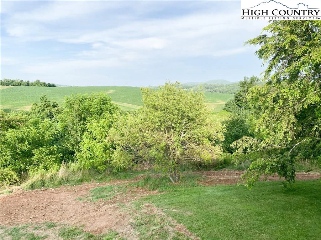 Image number 13 for the current listing