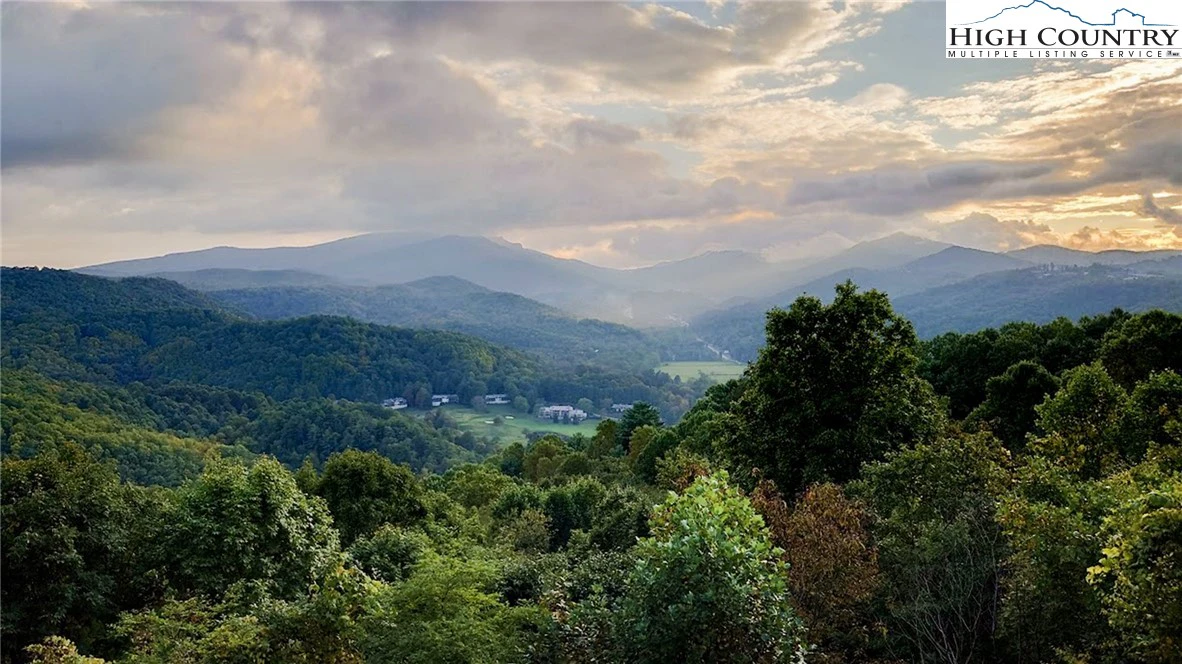 Image number 1 for the current listing