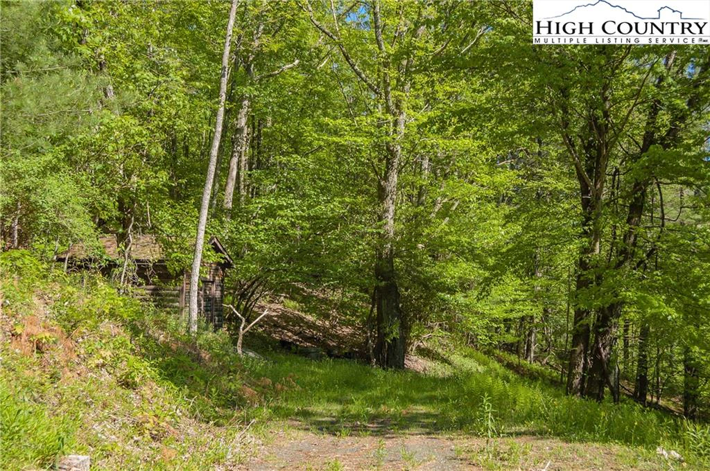 Image number 9 for the current listing