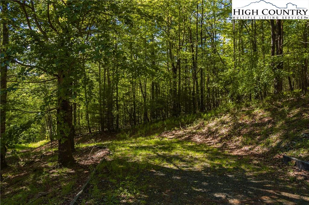 Image number 11 for the current listing