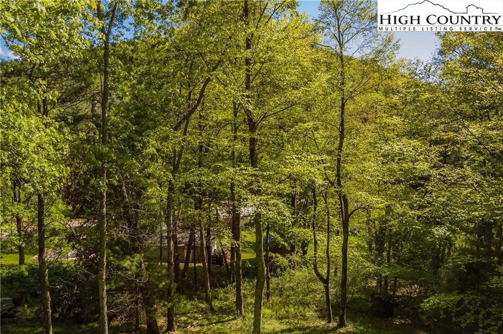 Image number 12 for the current listing