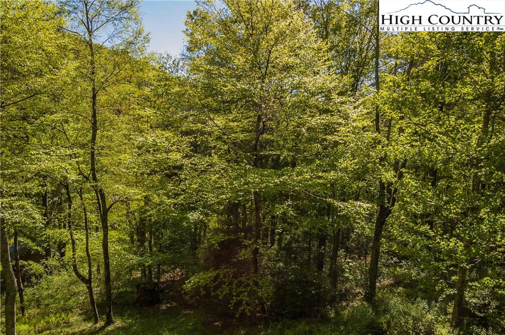 Image number 13 for the current listing