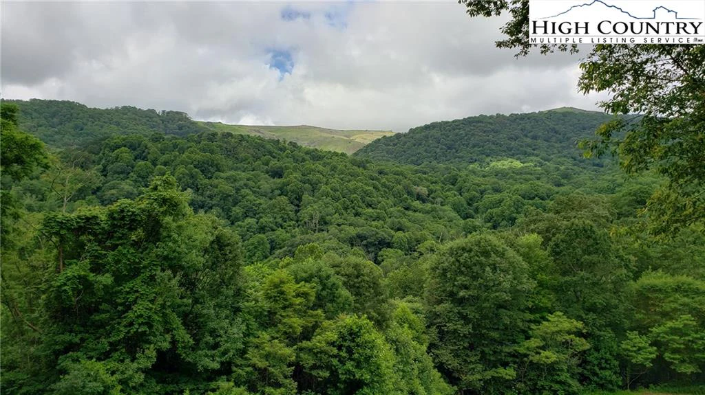 Image number 16 for the current listing
