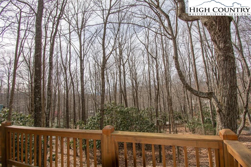 Image number 4 for the current listing