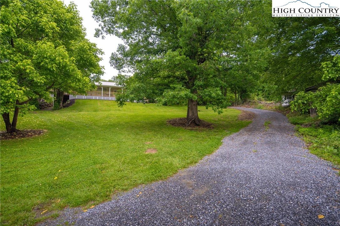 Image number 2 for the current listing