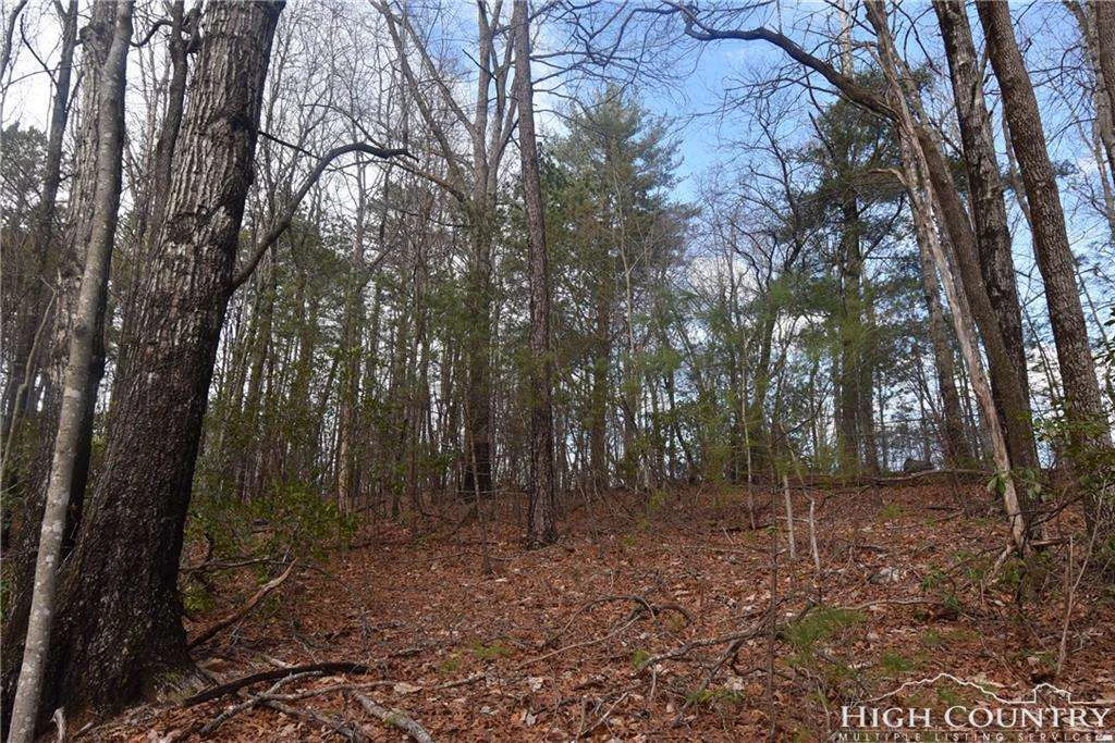 Image number 8 for the current listing