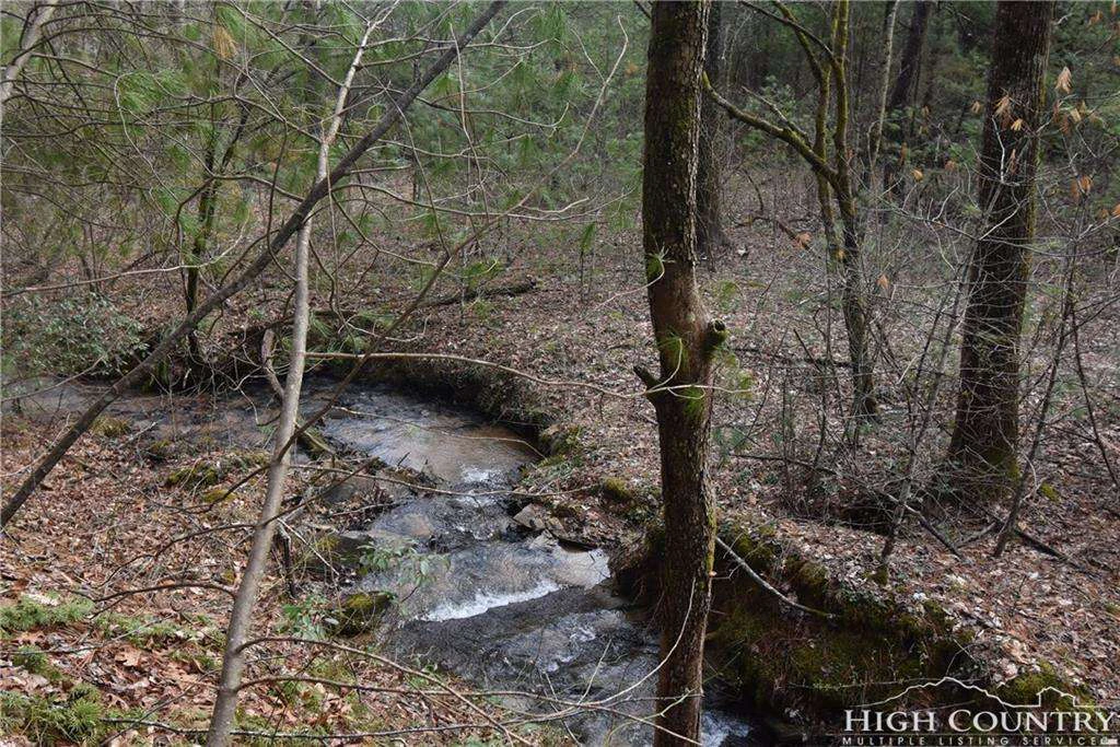 Image number 11 for the current listing