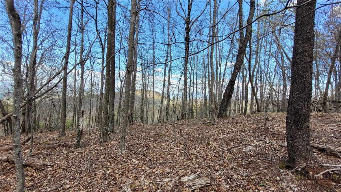 Image number 1 for the current listing