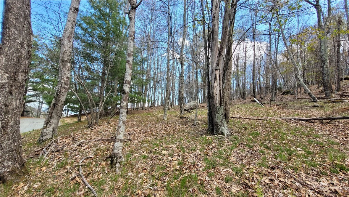 Image number 3 for the current listing