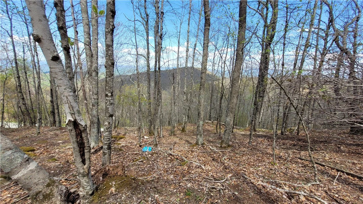 Image number 4 for the current listing