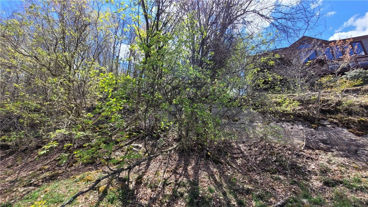 Image number 5 for the current listing