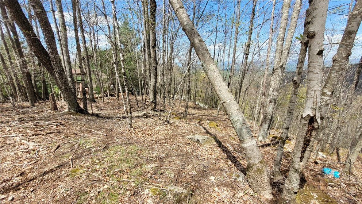 Image number 7 for the current listing