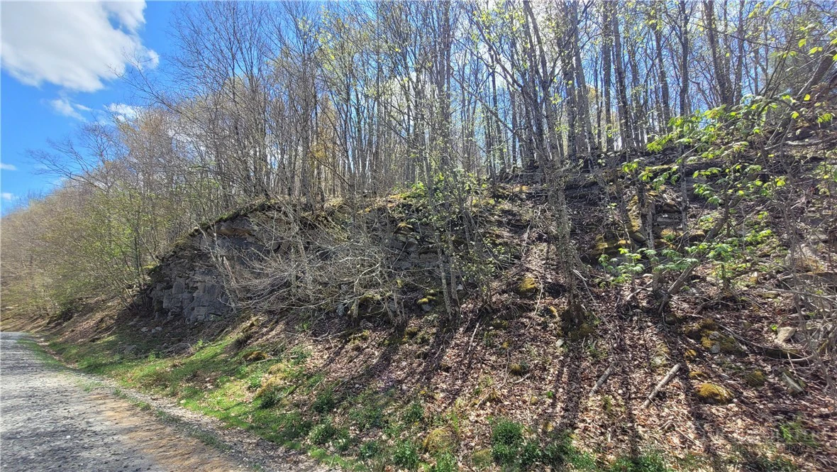 Image number 9 for the current listing
