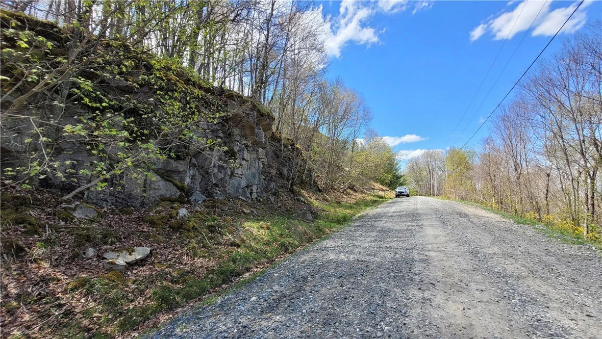 Image number 11 for the current listing