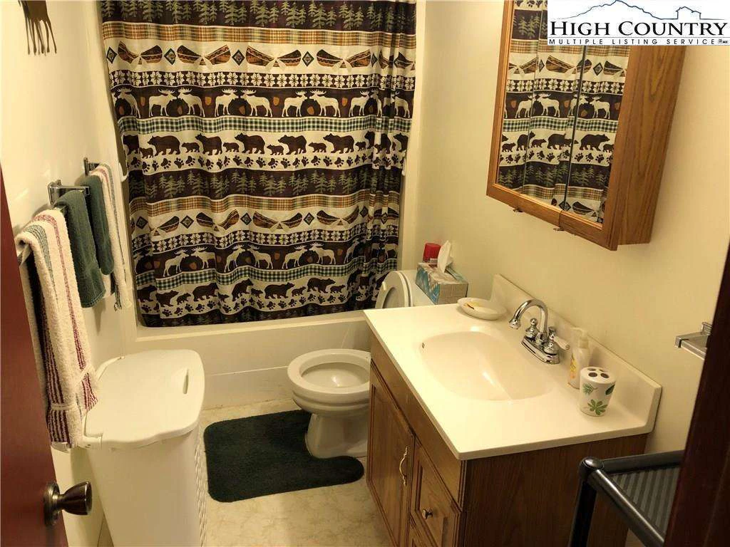 Image number 9 for the current listing