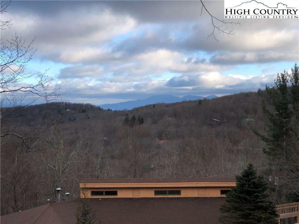 Image number 3 for the current listing