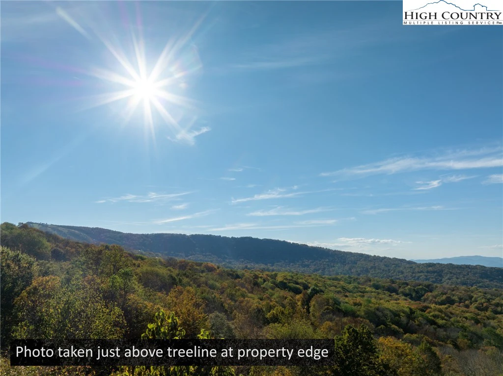 Image number 18 for the current listing