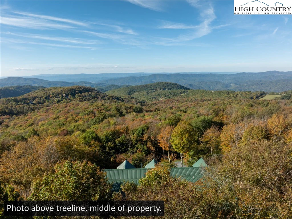 Image number 16 for the current listing