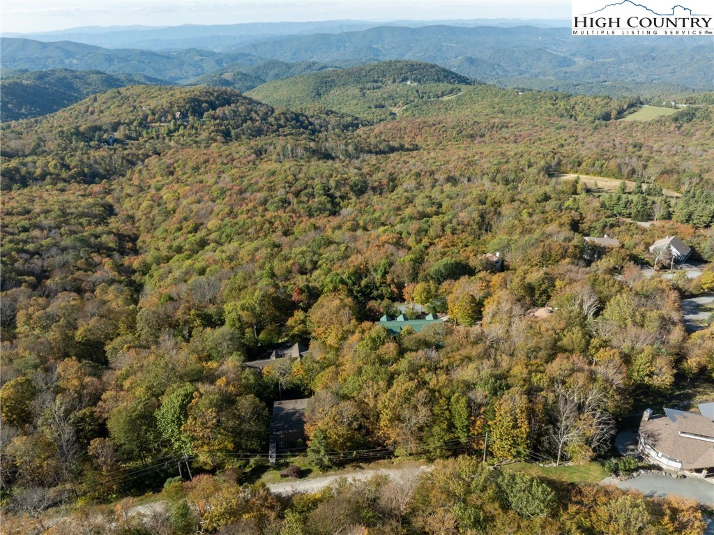 Image number 2 for the current listing