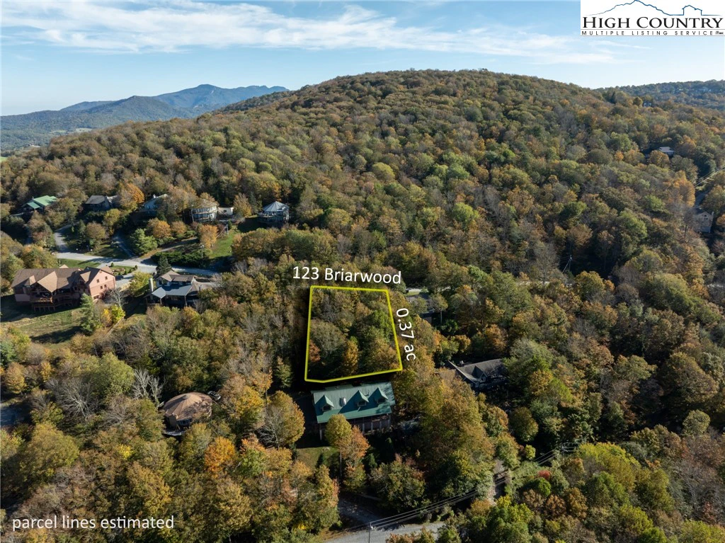 Image number 11 for the current listing