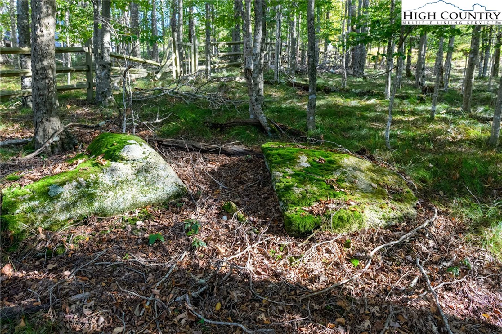 Image number 7 for the current listing