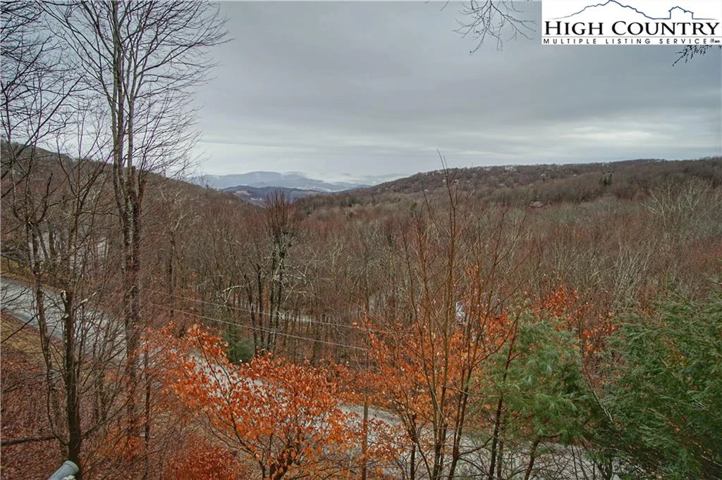 Image number 2 for the current listing