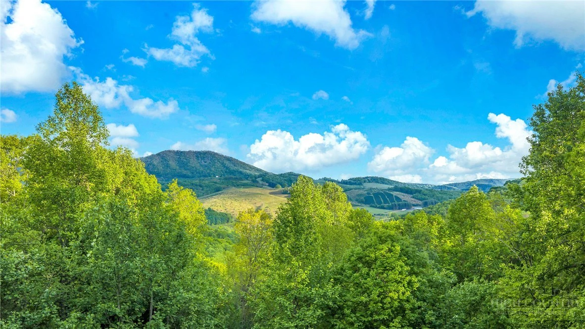 Image number 10 for the current listing