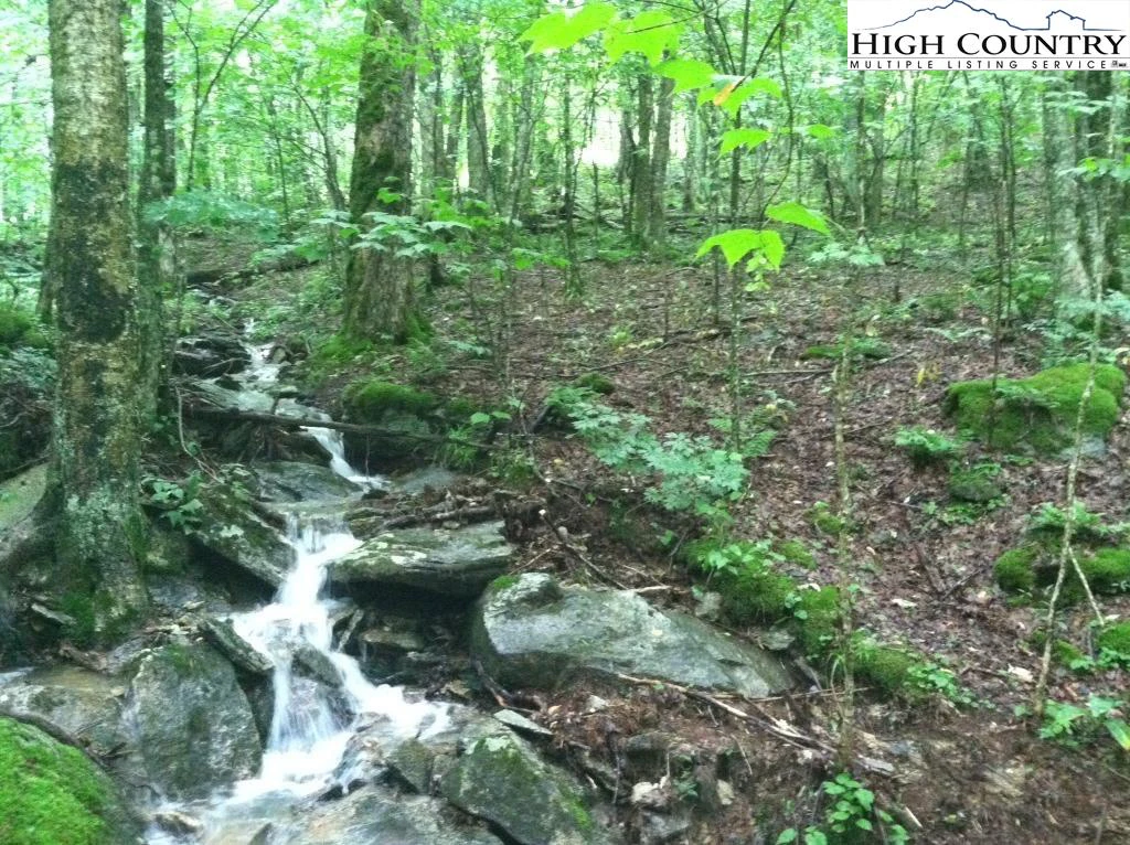 Image number 1 for the current listing