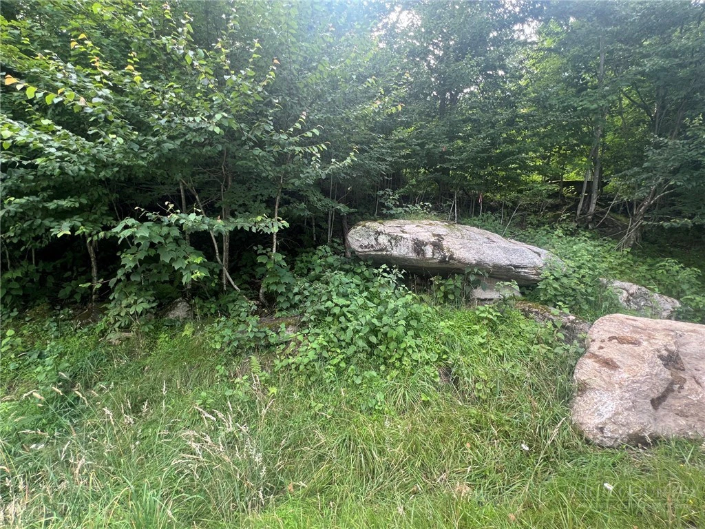 Image number 5 for the current listing