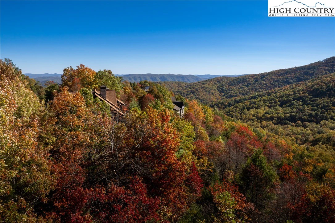 Image number 1 for the current listing
