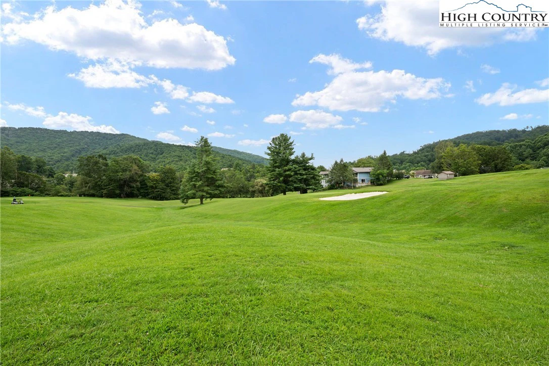 Image number 10 for the current listing