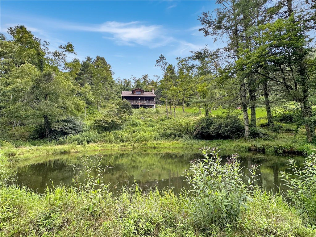 Image number 1 for the current listing