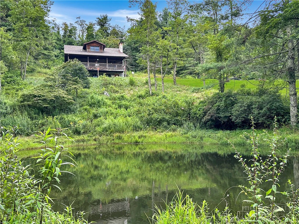 Image number 2 for the current listing