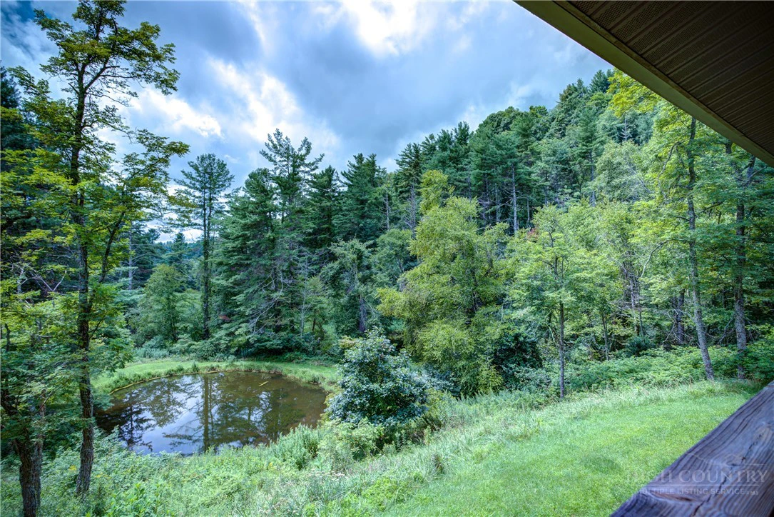 Image number 9 for the current listing
