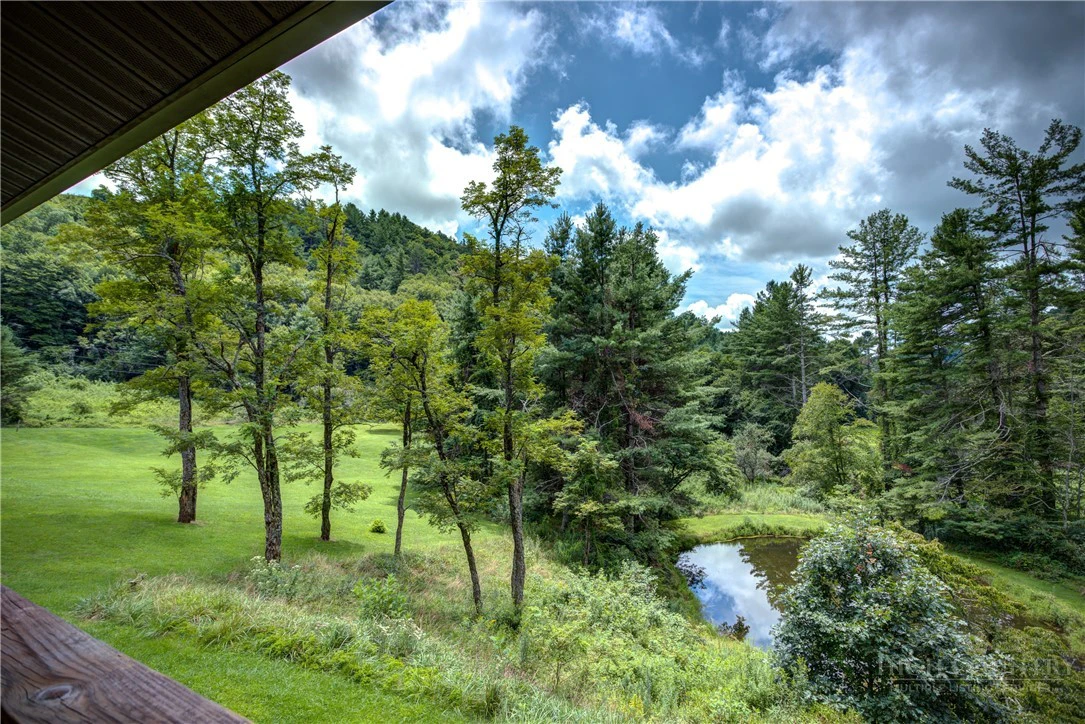 Image number 10 for the current listing